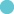 Circle icon